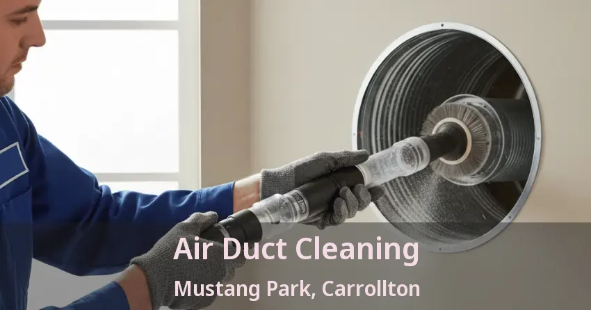 Air Duct Cleaning Mustang Park, Carrollton - TX