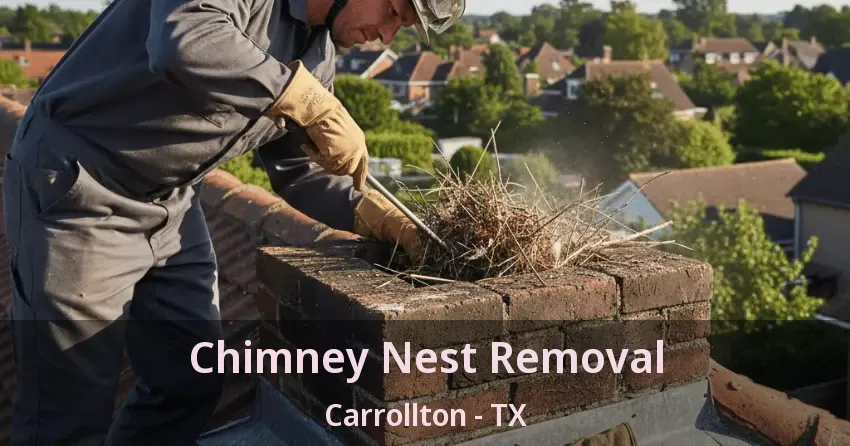 Chimney Nest Removal Carrollton - TX