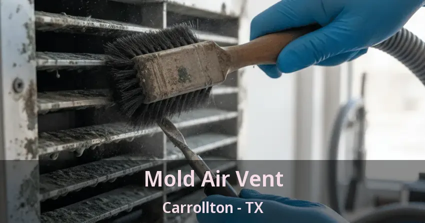 Mold Air Vent Carrollton - TX