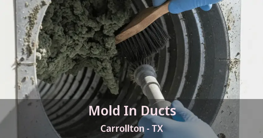 Mold In Ducts Carrollton - TX