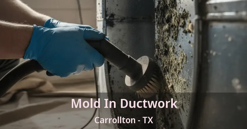 Mold In Ductwork Carrollton - TX