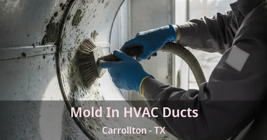 Mold In HVAC Ducts Carrollton - TX