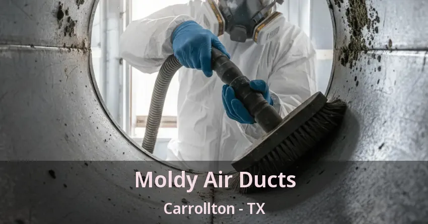 Moldy Air Ducts Carrollton - TX